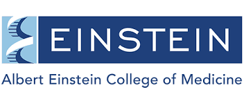 Albert Einstein College of Medicine