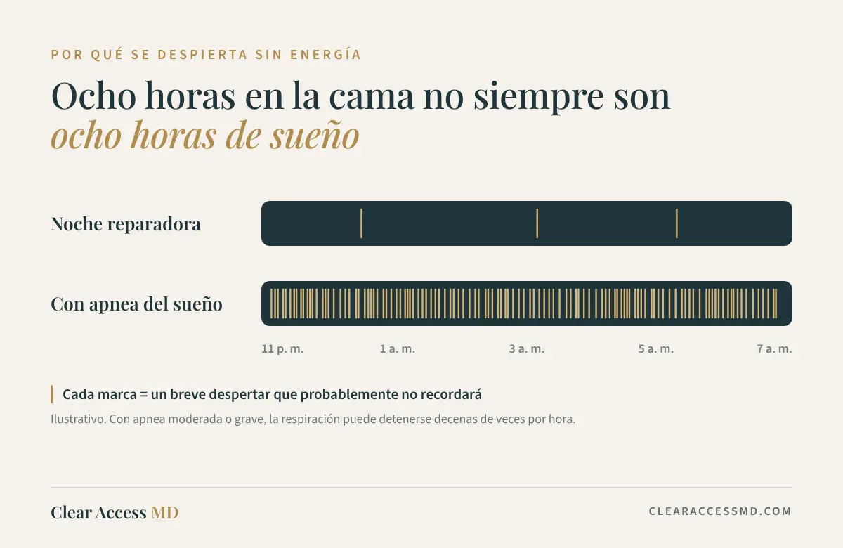 Línea de Tiempo de la Noche