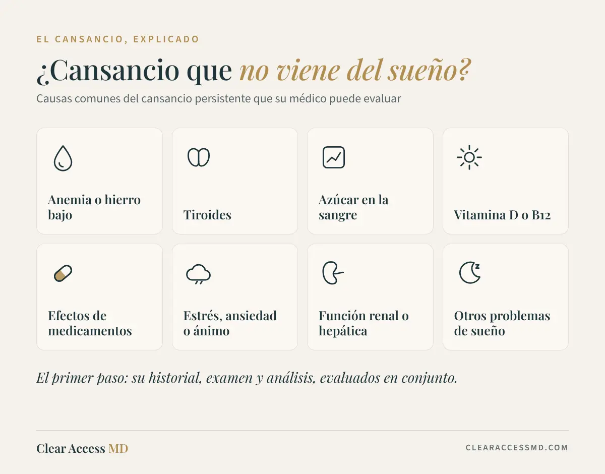 Causas del Cansancio