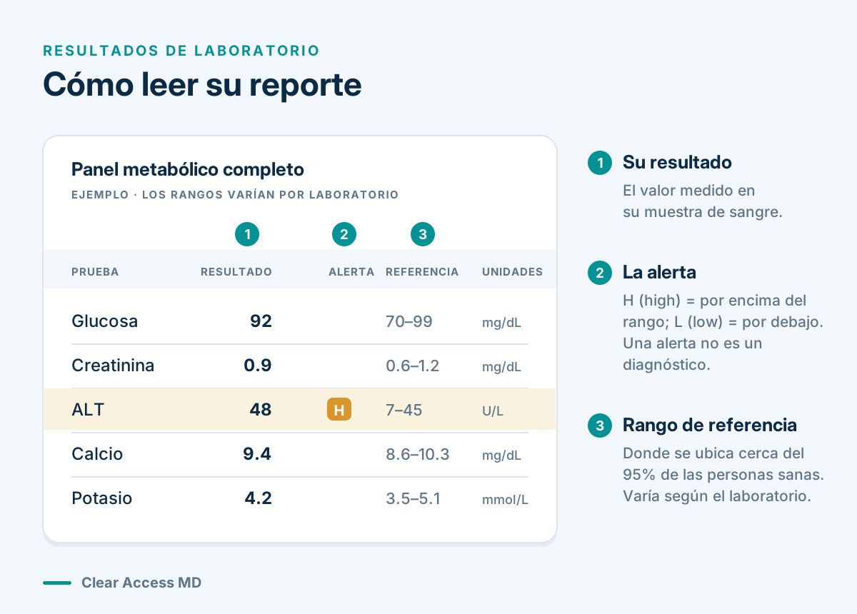 Cómo Leer Su Informe