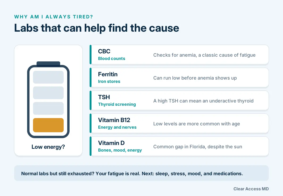 Fatigue Labs