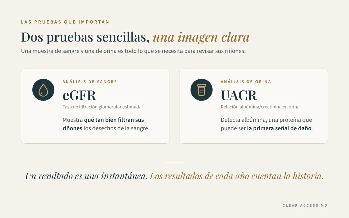 Las Pruebas Que Importan